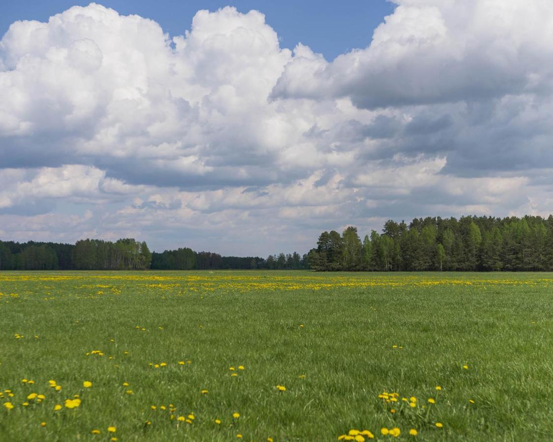 Fort Zona Cieciory Zewnętrze zdjęcie
